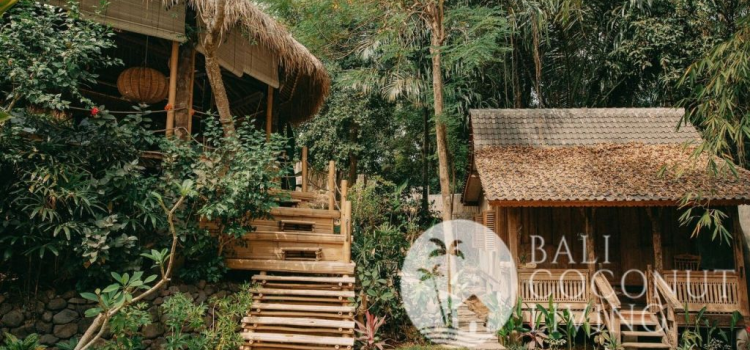 Eco-Friendly Living: Bamboo Houses and Sustainable Villas in Bali