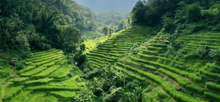 Living in Tabanan Bali: A Complete Guide for Long-Term Stay