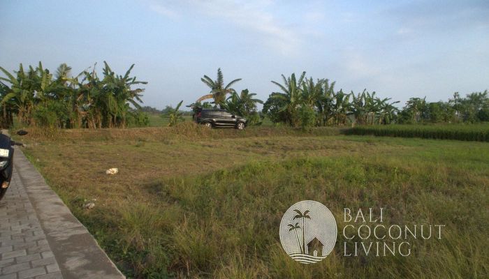 5 Are Land In Tabanan Slider