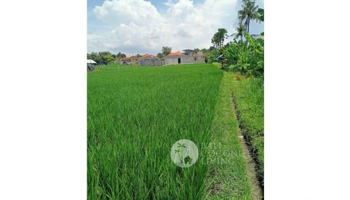 31 Are, Land for lease Slider