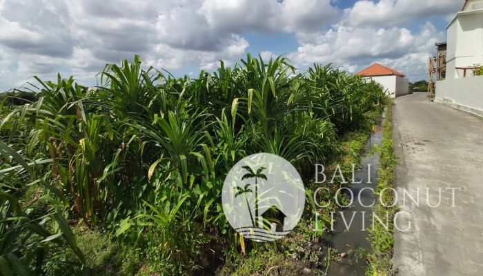 26 Are Land for lease Slider