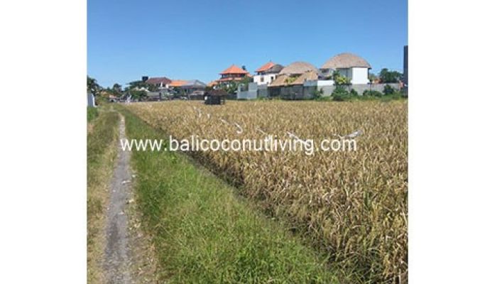 Land For Lease Berawa 2500 sqm Slider
