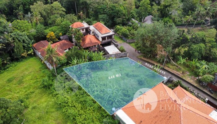 648 Land For Sale - Tabanan Slider