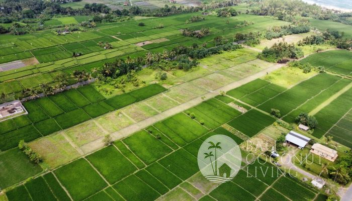 Land For Sale - Tabanan Slider