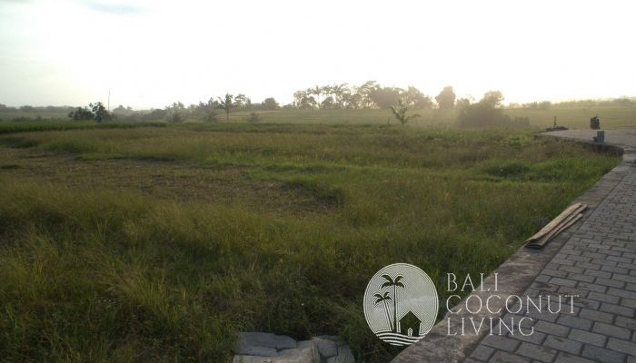 5 Are Land In Tabanan Slider