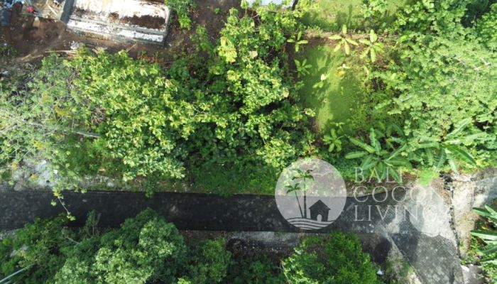 Land 300 sqm, For lease Slider