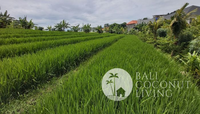 10 Are Land For Lease Slider