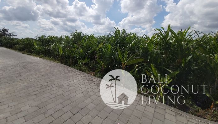 26 Are Land for lease Slider