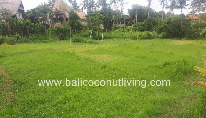 Land For Lease Umalas 3 are Slider
