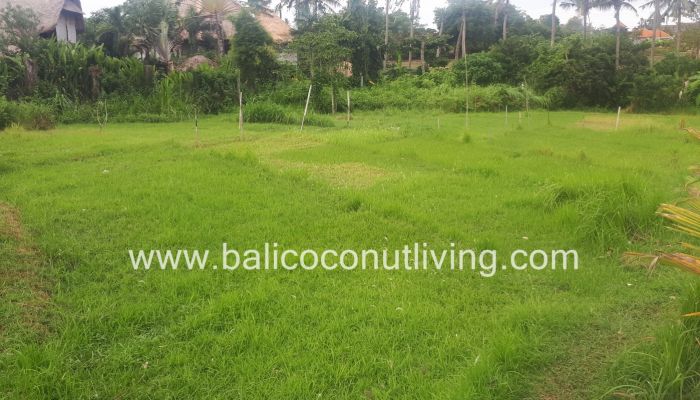 Land For Lease Umalas 3 are Slider