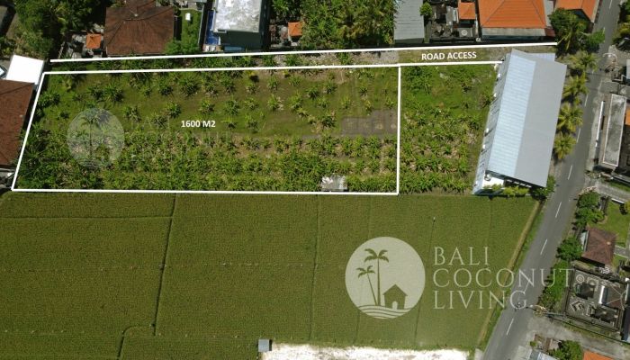 1600 Sqm, For rent land Slider