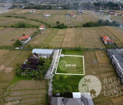 For sale, 10 Are land
