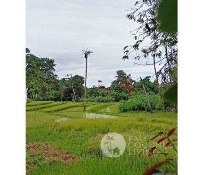 30 Are, Land for lease