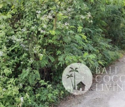Land for lease 750 sqm