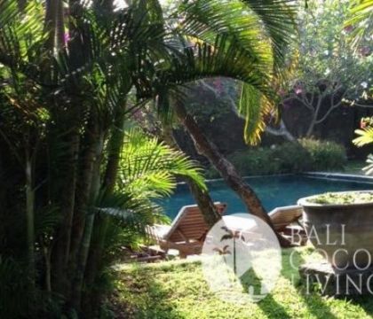 Villa Bakung