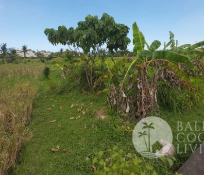 12,95 Are, Land for lease