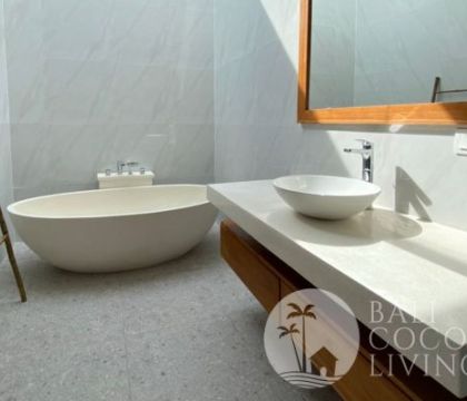 Rustic Star Villa 17