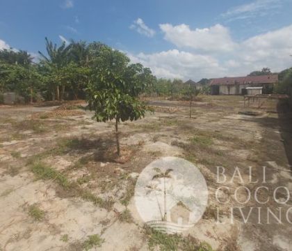 20 Are, Land for lease