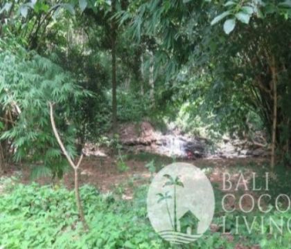 Land for lease 8,3 are