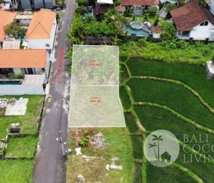 150 Sqm Land For Sale – Canggu 