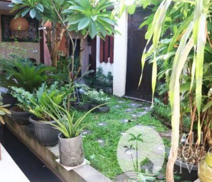 Rumah Pine