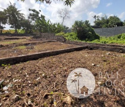10 Are, Land for rent