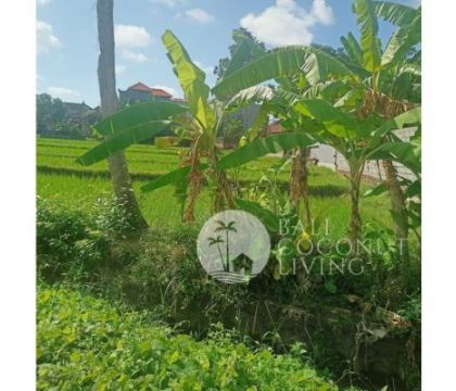 12,5 Are, Land for sale