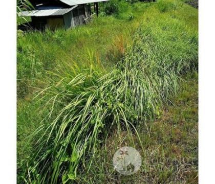 Land for sale 465 Sqm