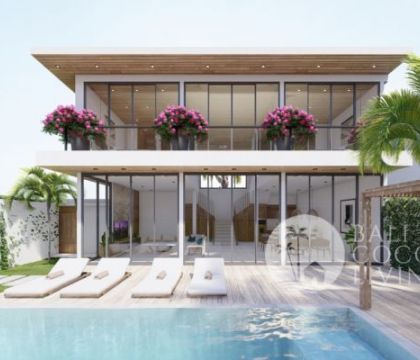 The Millennial Villa 2