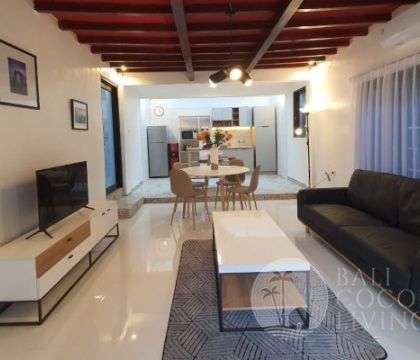 Leo Apartment Seminyak