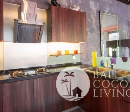 Da Vinci Apartment