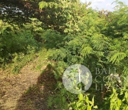 1,85 are, Land for sale
