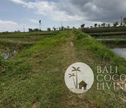10 Are Land  for sale