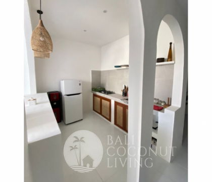 Brisago Apartment Pererenan