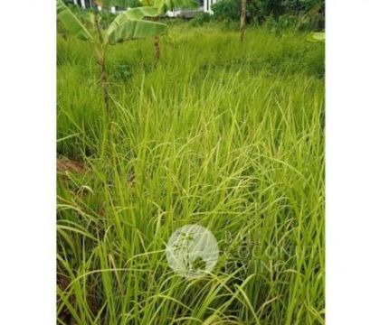 13,40 Are, Land for rent