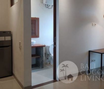 Hokkaido Apartment 4