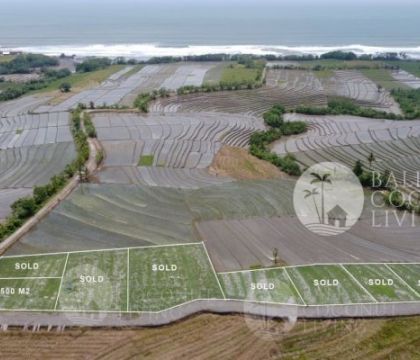5 Are Land In Tabanan