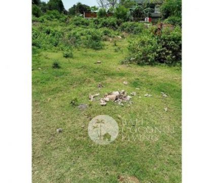 3000 Sqm land, For lease