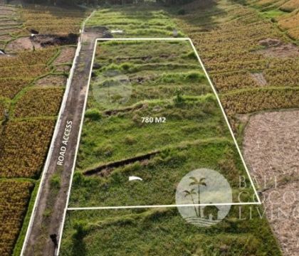 780 Sqm land, For rent