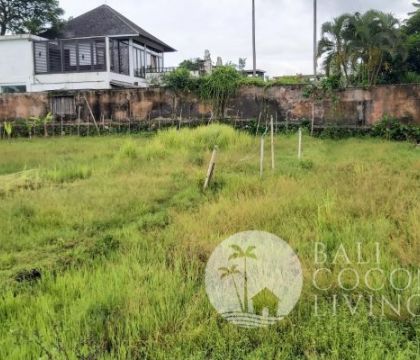 1145 sqm, Land for lease 