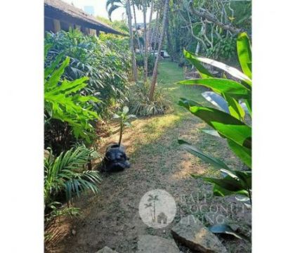For rent, 19 Are land