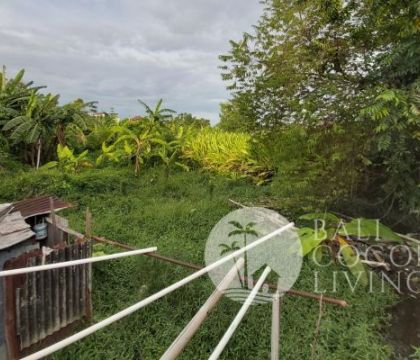 500 sqm, Land for rent