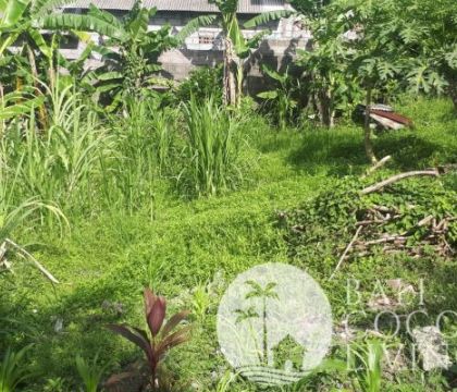 Land for sale 5,35 are