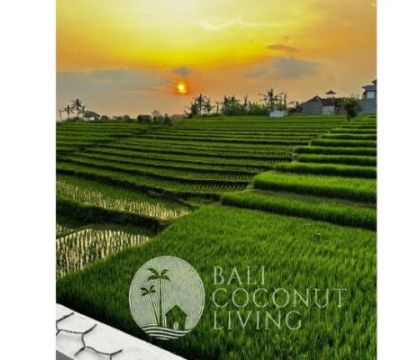Villa Mertayasa Mengwi