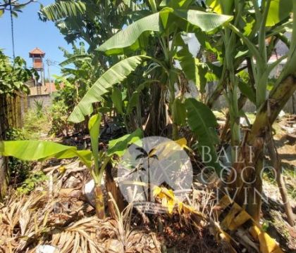 2,51 Are, Land for sale