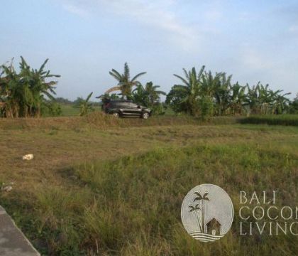 5 Are Land In Tabanan