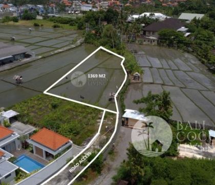 1369 Sqm, Land For Rent 