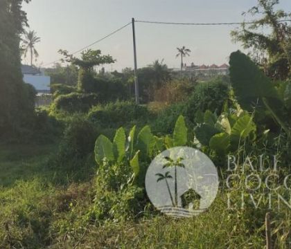 Land for lease, 20 are