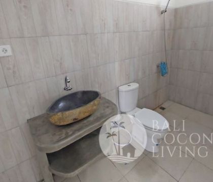 Villa Gomi 2