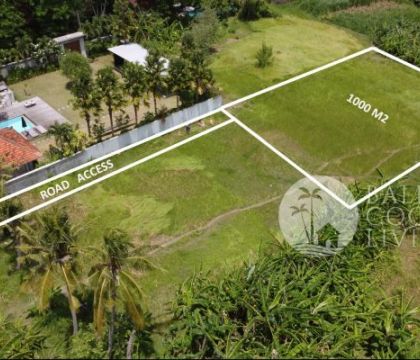 Land, For lease 10 Are